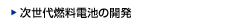 開発の歴史